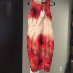 Little Mistress floral midi dress size 8